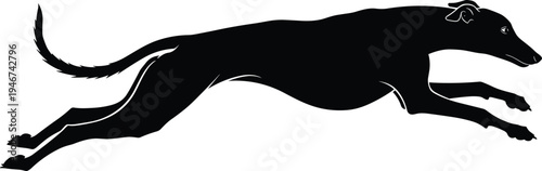 Greyhound dog running silhouette fast racing canine sprinting pet animal black vector illustration speed movement design