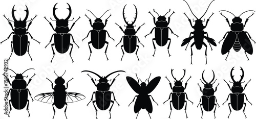 Insect silhouette collection, bug vector illustration, beetle graphic design, flying insect clipart, entomology art, nature insect icon, wildlife pattern set