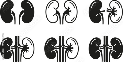 Human kidney anatomy medical icon set urinary system organ healthcare nephrology biology internal organ vector illustration collection