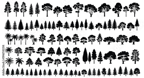 Large Collection of Various Tree Silhouettes Including Pine Spruce Palm Oak and Deciduous Species for Nature Landscape Forestry Environment and Garden Design Concept