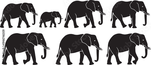 Solid Black African Elephant Herd Walking Line Shapes