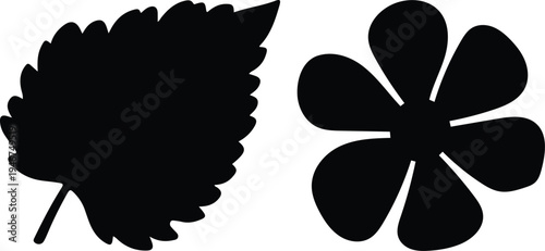 Abstract flat solid black vector leaf and flower silhouettes, ideal for clean modern flat design with transparent backgrounds