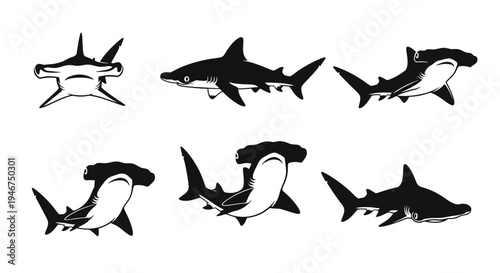 Hammerhead Shark Silhouettes Collection: Various Poses and Angles