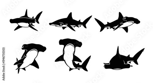 Hammerhead Shark Collection: Six Stylized Silhouettes in Black and White