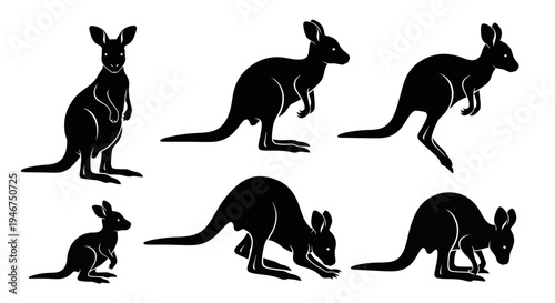 Kangaroo Silhouette Collection: Various Poses of Australian Marsupial Wildlife
