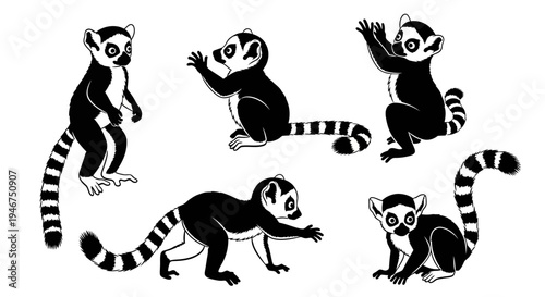 Ring-Tailed Lemurs Collection: Diverse Poses, Black and White Vector Art