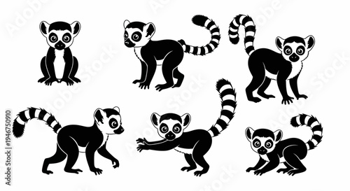 Ring-tailed Lemur Collection: Diverse Poses of Adorable Primate Illustration