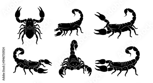 Scorpion Silhouette Collection: Diverse Poses of Black Arachnids on White Background