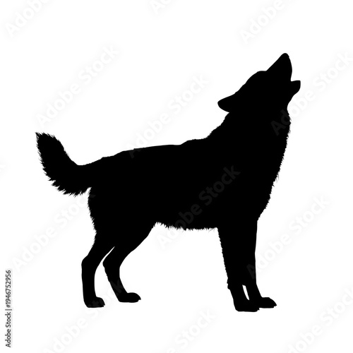 silhouette of a howling wolf - vector illustration