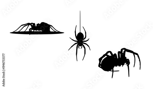 Black spider silhouettes vector set arachnid insect isolated Halloween