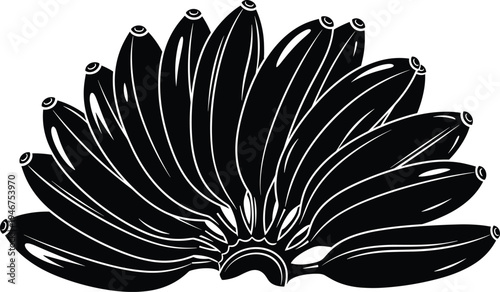 Banana bunch silhouette vector illustration with bold graphic style, tropical fruit design resource for food, nutrition, agriculture, and decorative creative themes