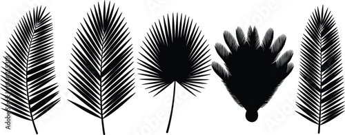 Tropical palm leaf silhouette vector set featuring various exotic monstera and coconut frond botanical elements for summer vacation branding beach party posters and nature designs