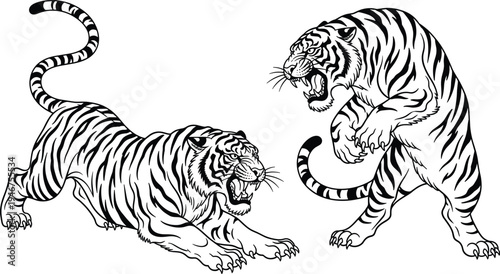 Two fierce tiger black and white line art illustrations in aggressive attacking and pouncing poses isolated on white background for wildlife tattoo design