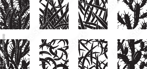 Abstract Cactus Needle Patterns