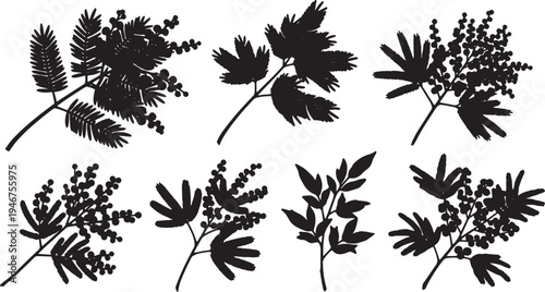 Black Solid Acacia Mimosa Branch Silhouettes Set of Six