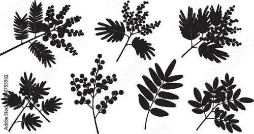 Black Solid Acacia Mimosa Branch Silhouettes Set of Six