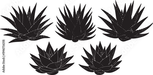 Black Solid Aloe Vera Plant Silhouettes Set of Six