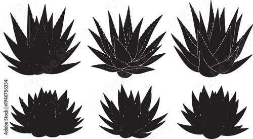 Black Solid Aloe Vera Plant Silhouettes Set of Six