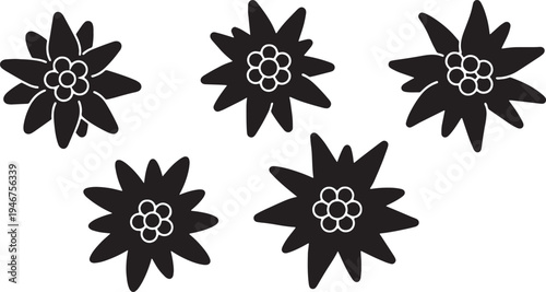Black Solid Alpine Edelweiss Flower Silhouettes Set of Six