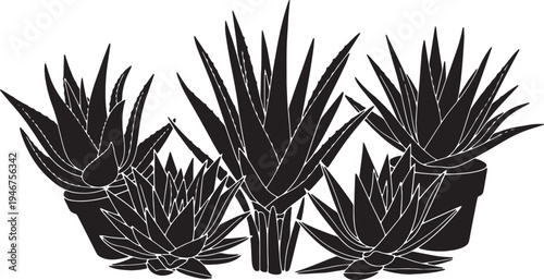 Black Solid Aloe Vera Plant Silhouettes Set of Six