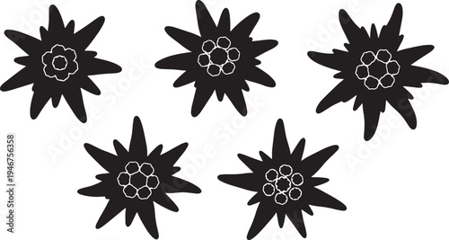 Black Solid Alpine Edelweiss Flower Silhouettes Set of Six