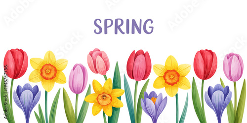 Colorful spring flowers including tulips daffodils and crocuses in bloom  vibrant floral arrangement