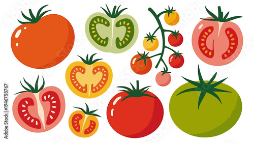 Colorful illustration of various tomatoes and kiwi slices on white background