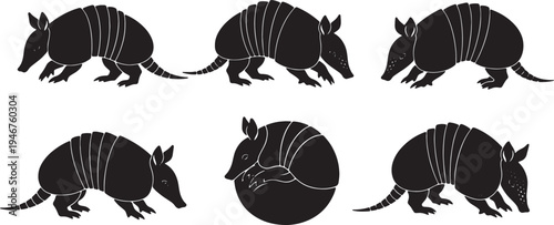 Armadillo Walking and Curled Poses