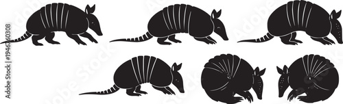 Armadillo Walking and Curled Poses