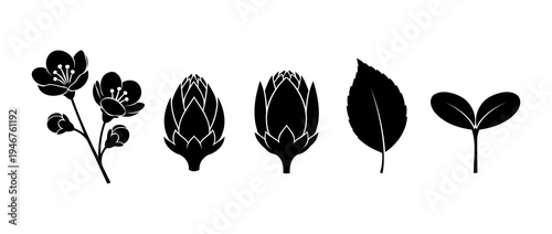 Illustration of Black silhouette floral icons set
