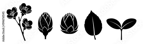 Illustration of Black leaf and flower icons