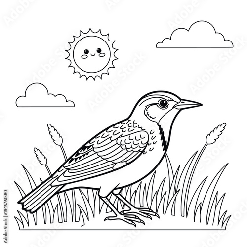 A bird standing in grass with sun and clouds