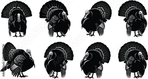 Turkey silhouette collection, Thanksgiving icons, wildlife design, bird illustration, festive symbol, poultry figure, vector illustration set