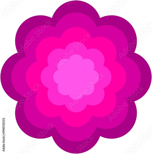 pink flowers on a white background