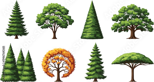 Tree illustration set, eight species, seasonal foliage, evergreen and deciduous types, flat vector nature design for educational or creative use