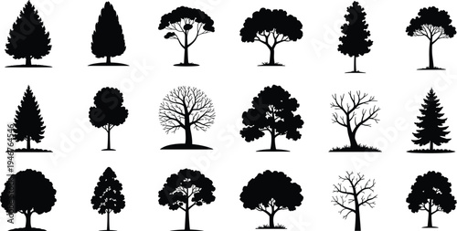 Tree silhouette vector collection, forest trees set with evergreen and leafless varieties, decorative nature landscape elements isolated illustration