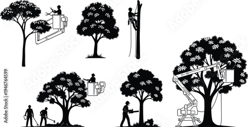 Tree trimming illustration, arborist techniques, landscaping sketch, safety gear, flat vector, outdoor work, cad drawing flat vector illustration