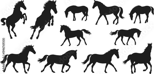 Horse silhouettes set running galloping standing farm animal equine black vector illustration collection isolated design elements