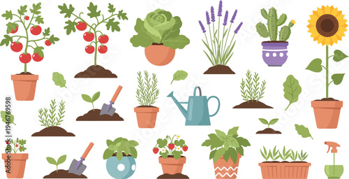 Garden Plants and Gardening Tools Illustration Set Featuring Tomato Plant, Sunflower, Herbs, Cactus, Watering Can, and Potted Vegetable Plants.