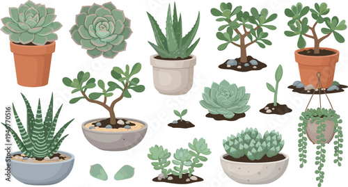 Succulent and Cactus Houseplant Illustration Set Featuring Aloe, Echeveria, Jade Plant, Snake Plant, and Decorative Potted Desert Plants.