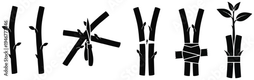 Cuttings and propagation icons showing gardening techniques, plant growth, and stem grafting.