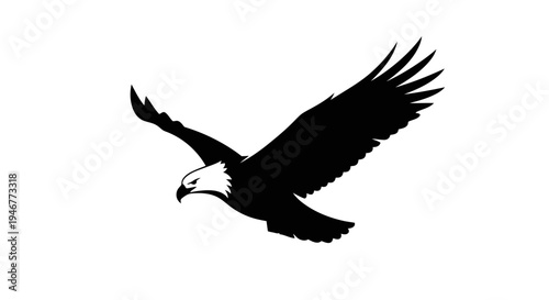 A striking black and white silhouette of an eagle in mid-flight soaring gracefully across the sky