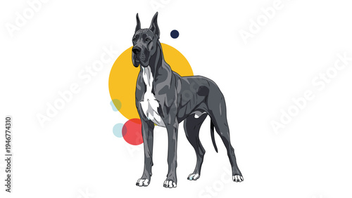 Elegant grey Great Dane dog stands proudly in front of a yellow and red circular background with a sleek and powerful body posture.