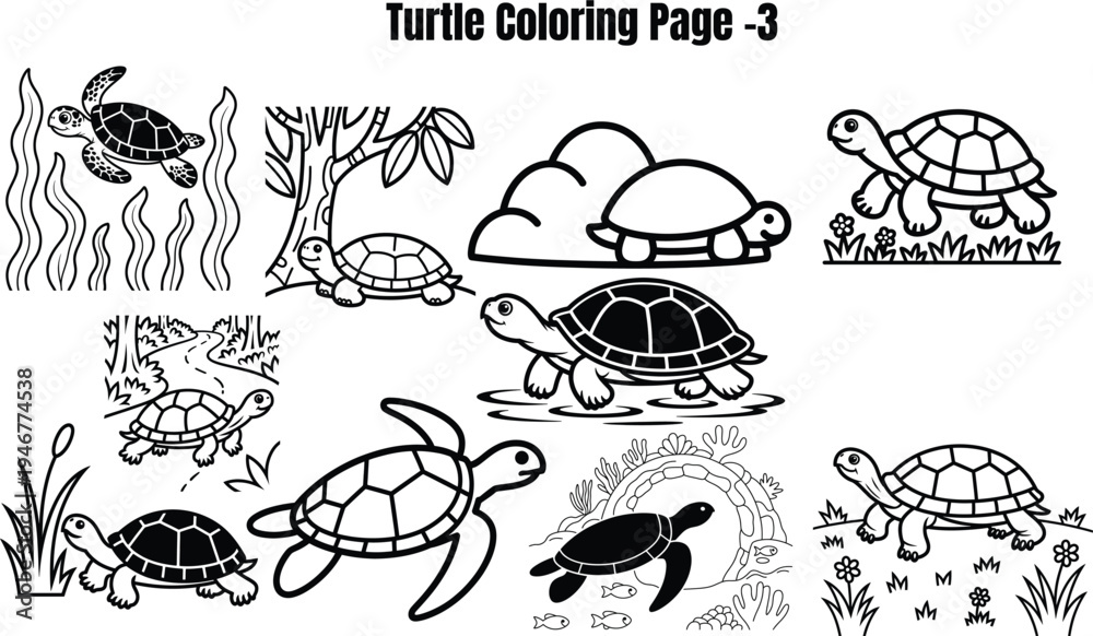 Obraz premium Turtle for coloring book turtles sea turtles 2 land turtles