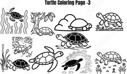 Turtle for coloring book turtles sea turtles 2 land turtles