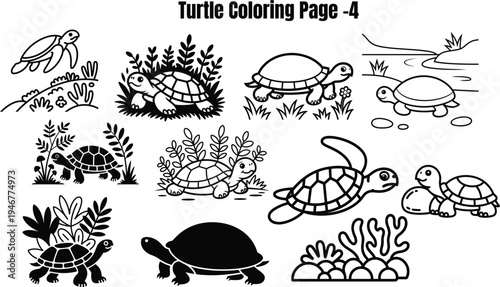 Black and white turtle with plants and rocks turtles