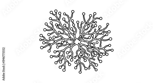 Intricate black and white snowflake design.