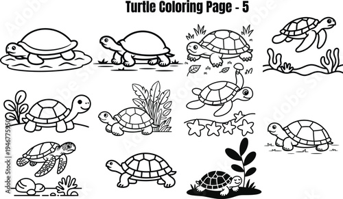 Turtle for coloring book page turtles sea turtles tortoises