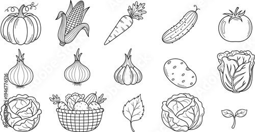 Collection of hand-drawn vegetables and sprouts in a simple line art style