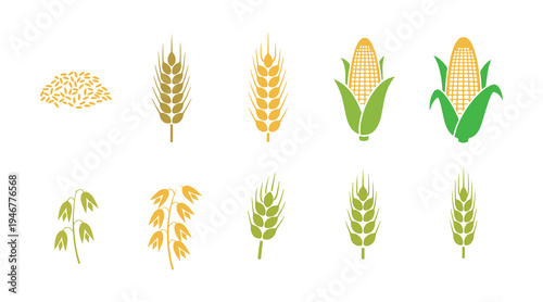 Collection of grain icons featuring rice, wheat, corn, oats, rye, and barley in vector style.